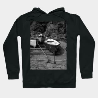 Lizard boats Hoodie